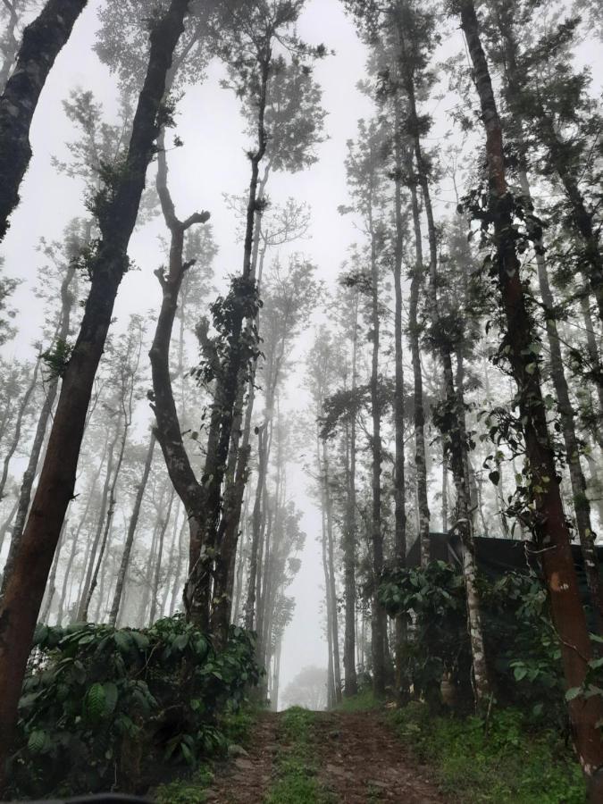 Coorg Happy Estate Stay Madikeri Luaran gambar