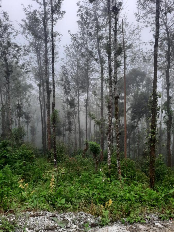 Coorg Happy Estate Stay Madikeri Luaran gambar